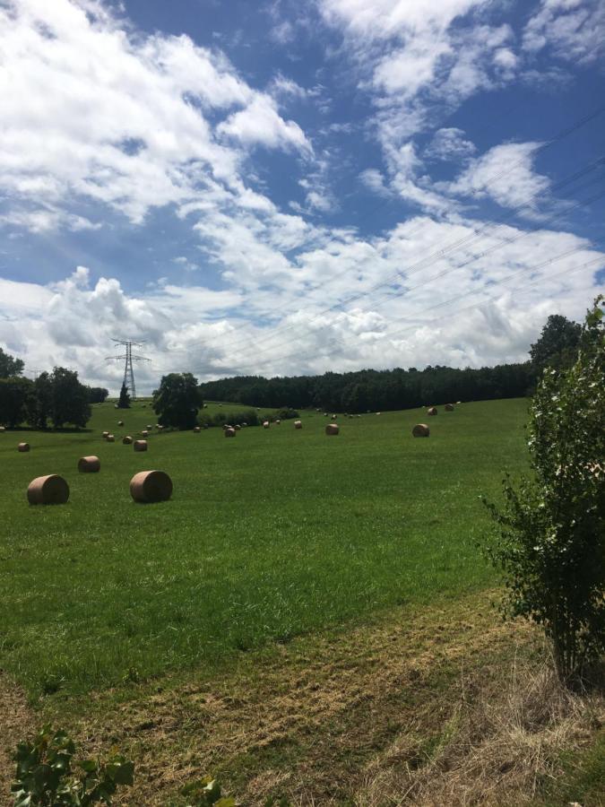Les Granges Villa Les Lèves-et-Thoumeyragues Eksteriør billede